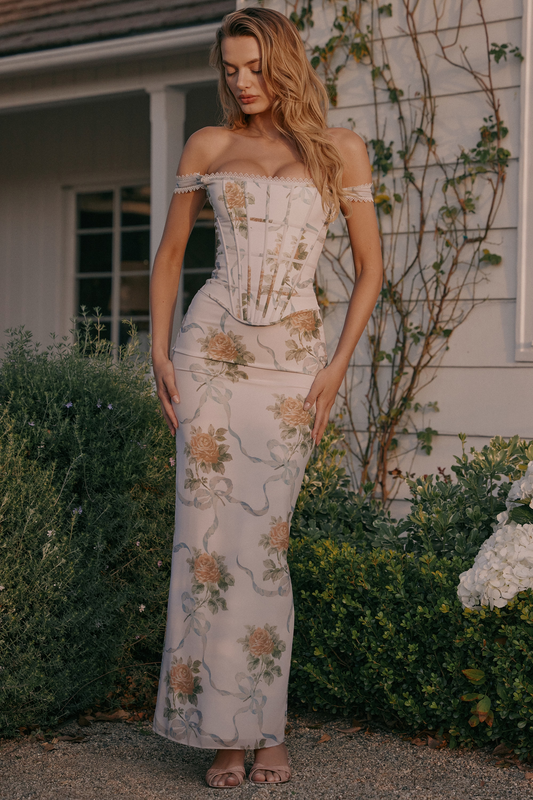 Soft Blue Vintage Print Corset Maxi Dress